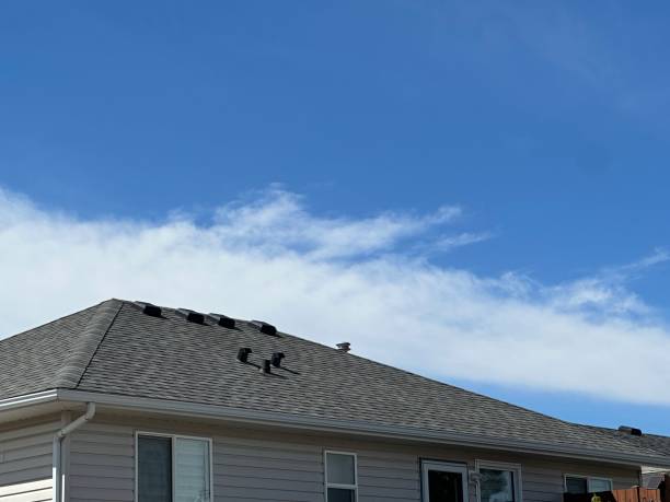 Best Green or Eco-Friendly Roofing Solutions  in Tioga, TX